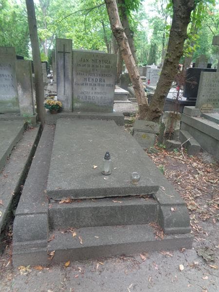 Zdjęcie grobu Janina Dąbrowska (1)