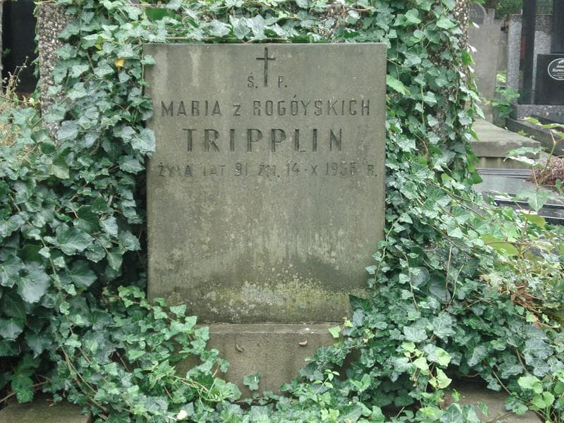 Zdjęcie grobu Maria Tripplin (2)