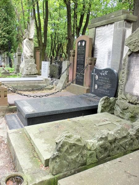 Zdjęcie grobu Wojciech Albrycht (1)
