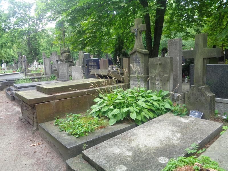 Zdjęcie grobu: Fłoruś Kacicki