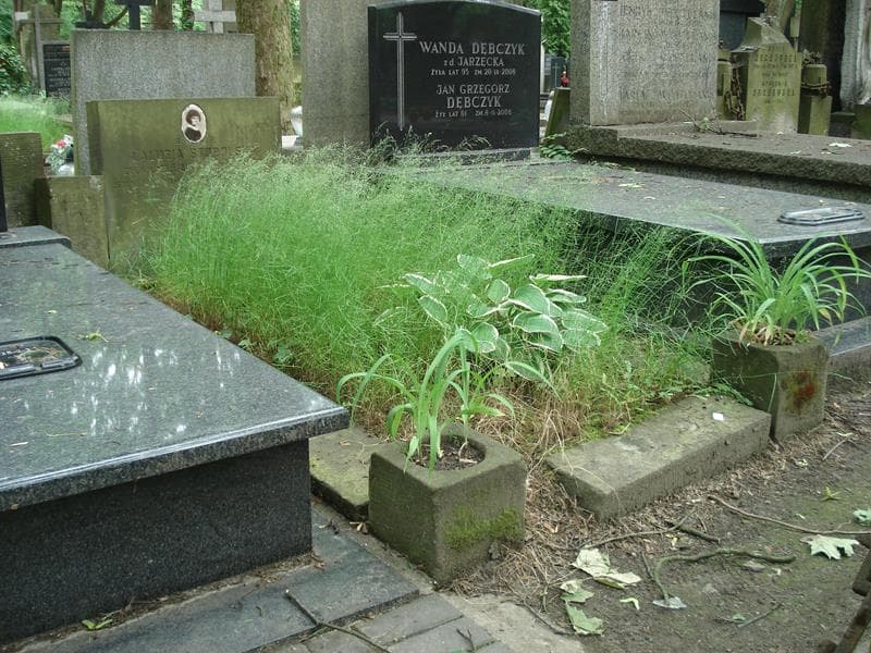 Zdjęcie grobu Lalusia Stodolska (1)