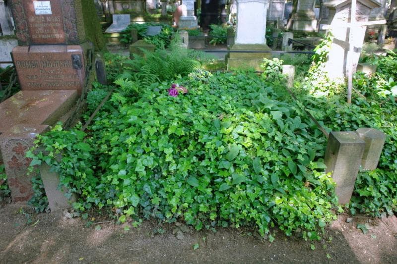 Zdjęcie grobu Schonwalderowie (1)