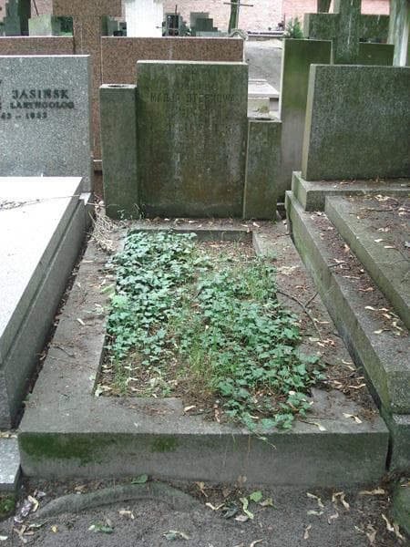 Zdjęcie grobu: Marja Sternowa