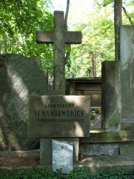 Zdjęcie grobu Antoni Sternstein - Helcel (2)