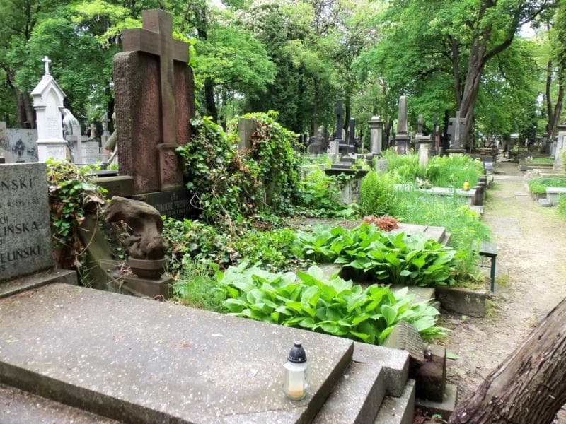 Zdjęcie grobu Kazimierz Przybylski (1)