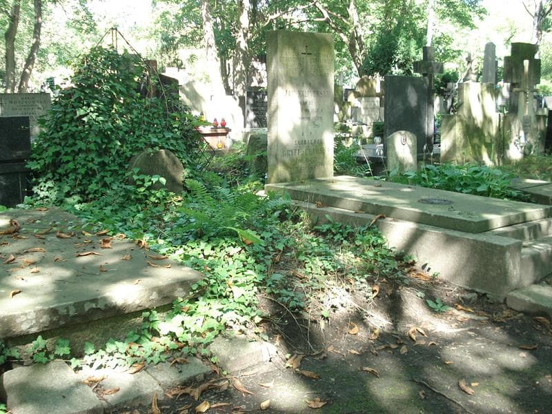 Zdjęcie grobu Henryk Opocki (1)