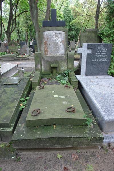 Zdjęcie grobu Władysław Nowosielski (1)