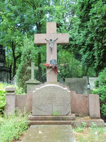 Zdjęcie grobu Stanisław Dąbrowski (2)