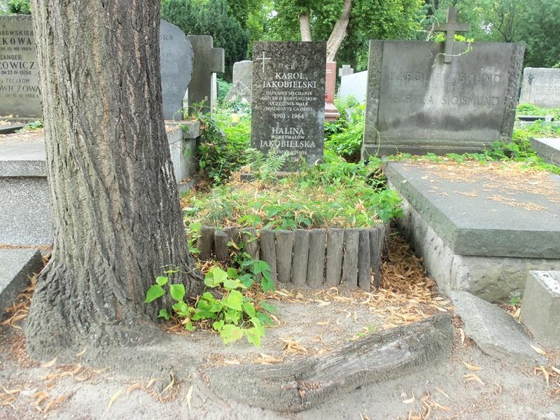 Zdjęcie grobu: Karol Jakobielski