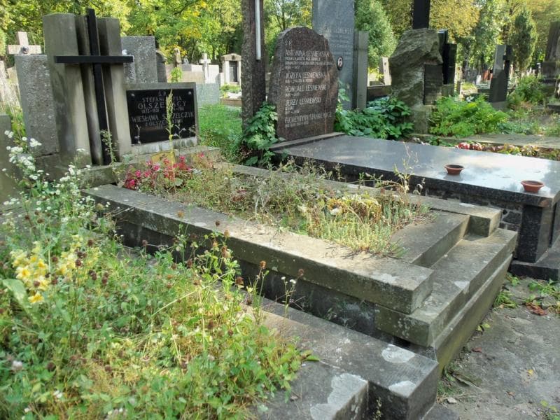 Zdjęcie grobu Stefan Olszewski (1)