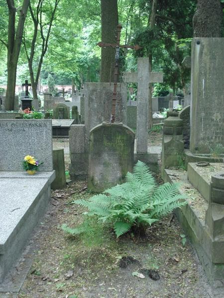 Zdjęcie grobu: Roch Błaszczyk