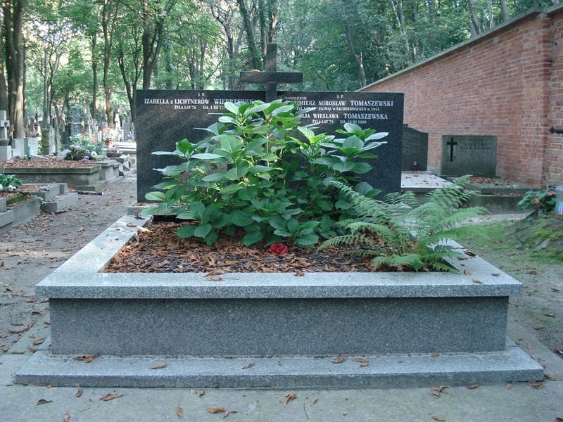 Zdjęcie grobu Amelia Wiesława Tomaszewska (1)