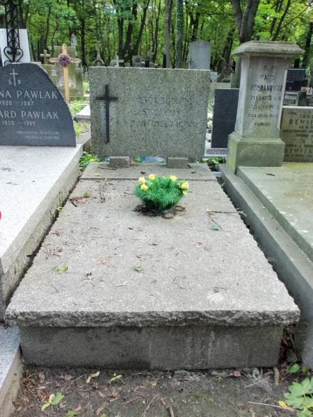 Zdjęcie grobu Bartosiewiczowie (1)