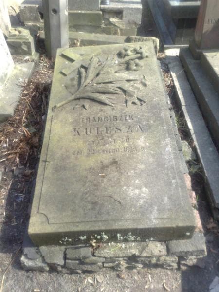 Zdjęcie grobu Franciszek Kulesza (1)