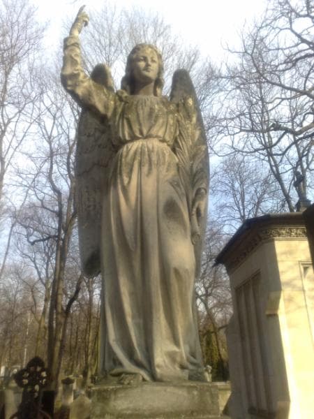 Zdjęcie grobu Elżbieta Pałucka (2)