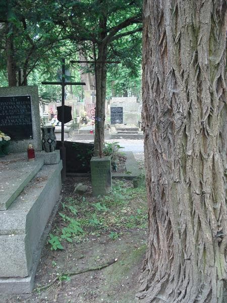 Zdjęcie grobu: Marcin Chabrzyk