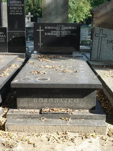 Zdjęcie grobu: Zofia Borodajko-Żbikowska