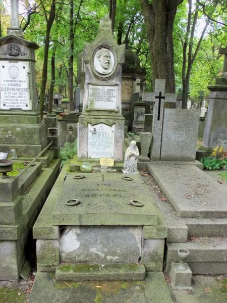 Zdjęcie grobu: Henryk Woynicki