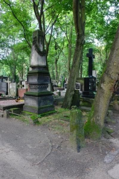 Zdjęcie grobu Marja Zdanowska (1)