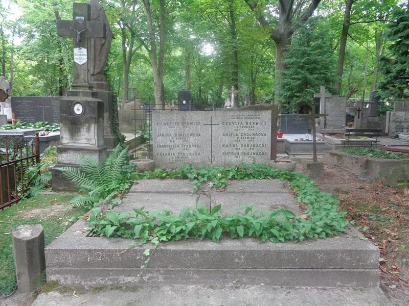 Zdjęcie grobu Sylwester Berwicz (1)