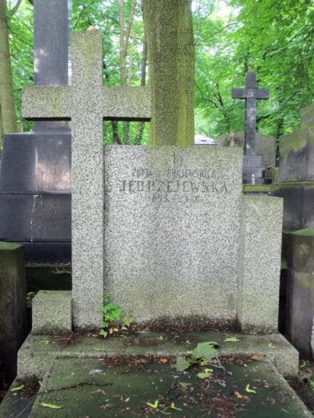 Zdjęcie grobu Zofia Jędrzejewska (2)