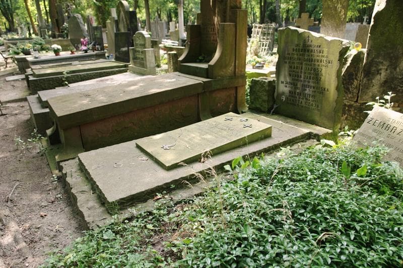 Zdjęcie grobu: Wanda Leithi