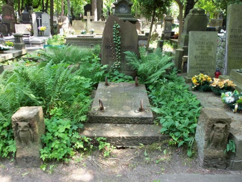 Zdjęcie grobu: Teodora Puławska