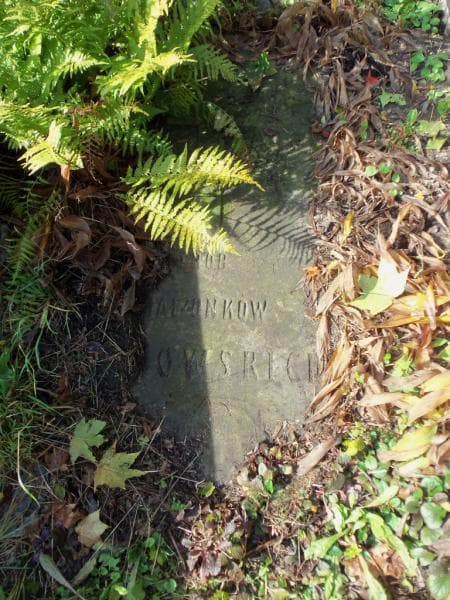 Zdjęcie grobu Ignacy Purowski (2)