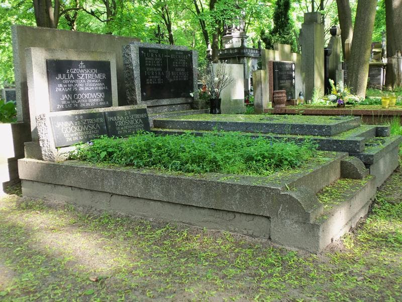 Zdjęcie grobu Janina Goćkowska (1)