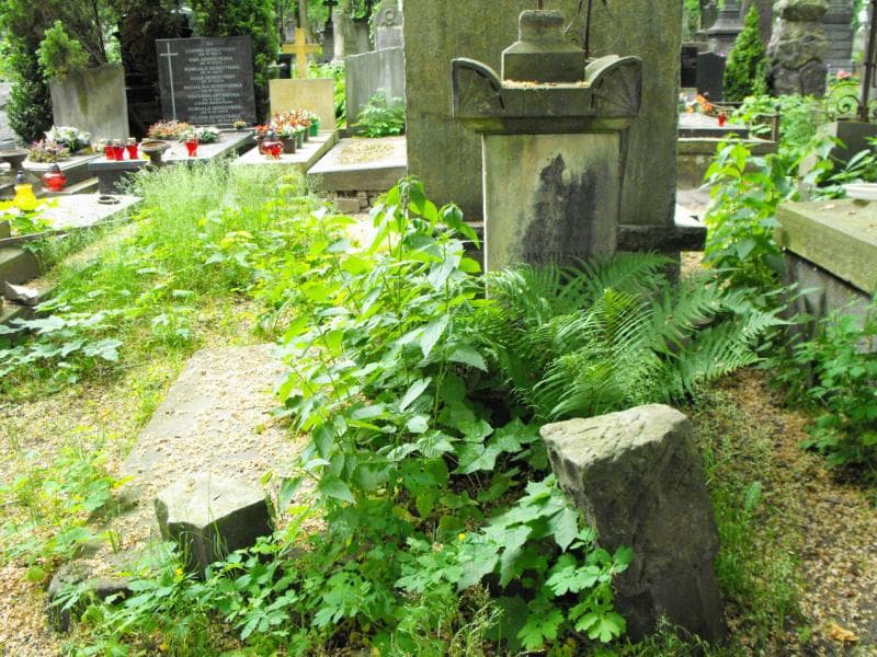 Zdjęcie grobu Paweł Andrychiewicz (1)
