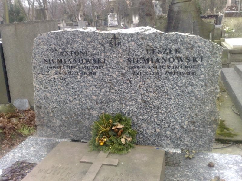 Zdjęcie grobu Jadwiga Perkowska (1)