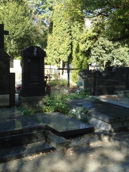 Zdjęcie grobu Helena Tomczakowa (1)