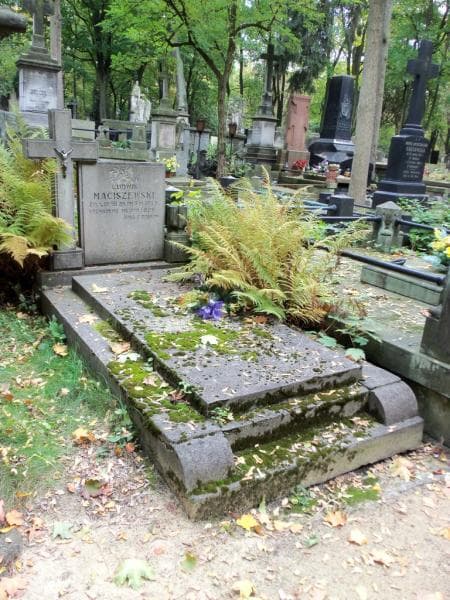 Zdjęcie grobu Ludwik Maciszewski (1)