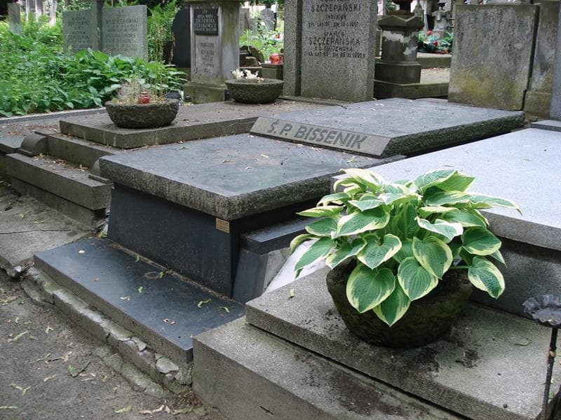 Zdjęcie grobu: Czesław Bissenik