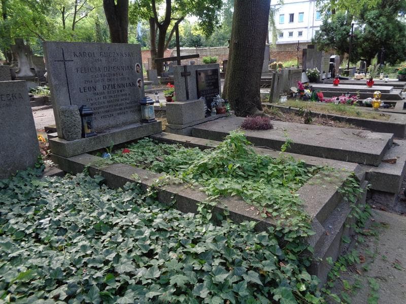Zdjęcie grobu: Karol Buczyński