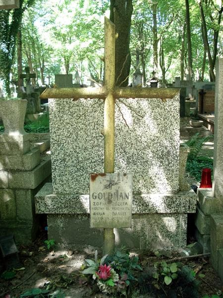 Zdjęcie grobu Daniel Goldman (1)