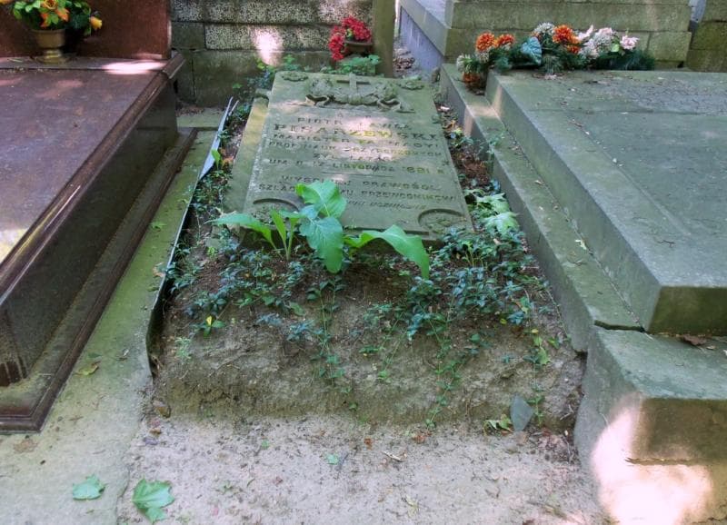 Zdjęcie grobu Piotr Paweł Pisarzewski (1)