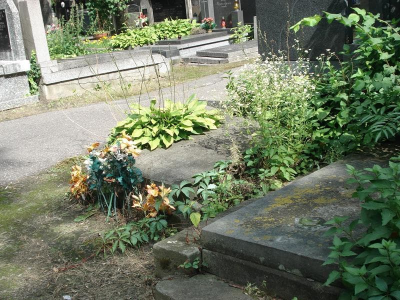 Zdjęcie grobu Maria Chabłowska (2)