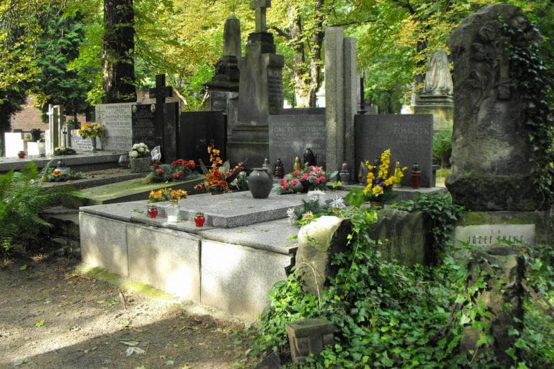 Zdjęcie grobu: Adaś Robert Tomczyk
