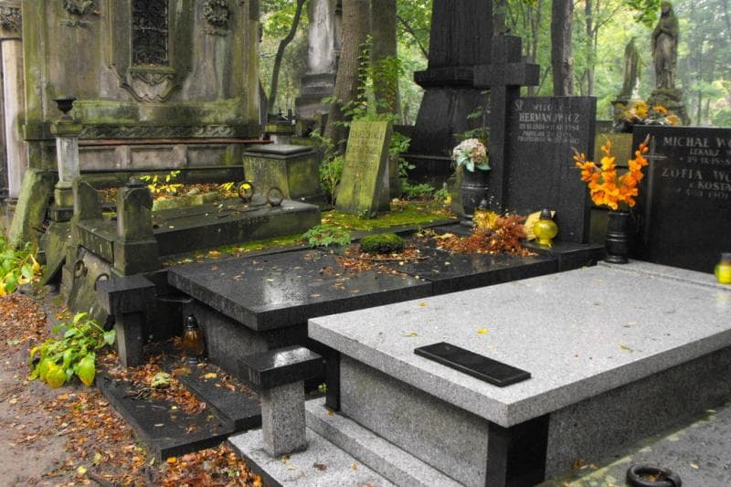 Zdjęcie grobu Witold Hermanowicz (1)