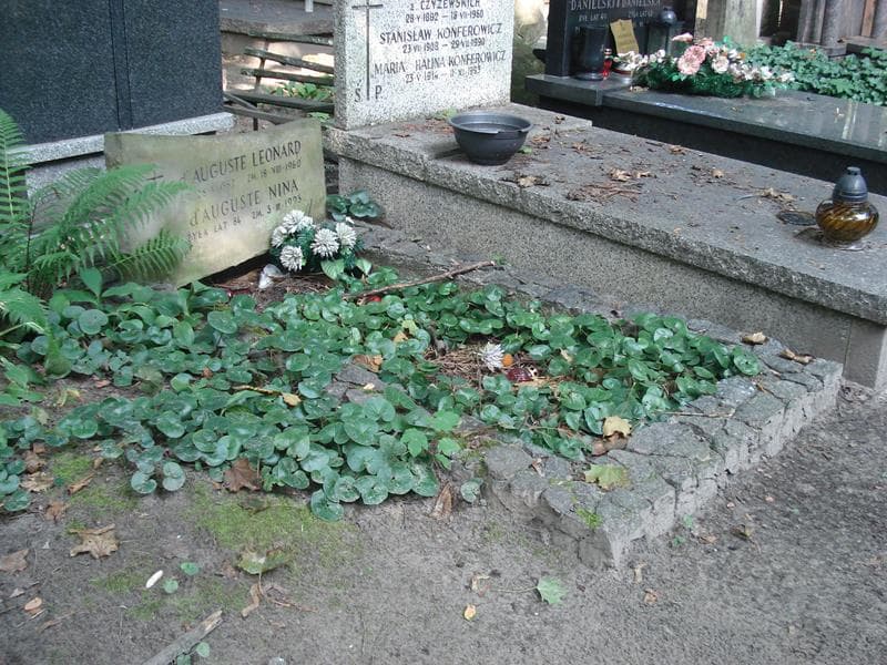 Zdjęcie grobu: Nina D' Auguste