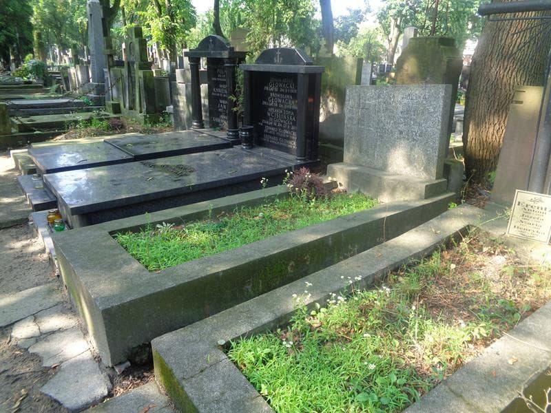 Zdjęcie grobu: Józefa Wolska