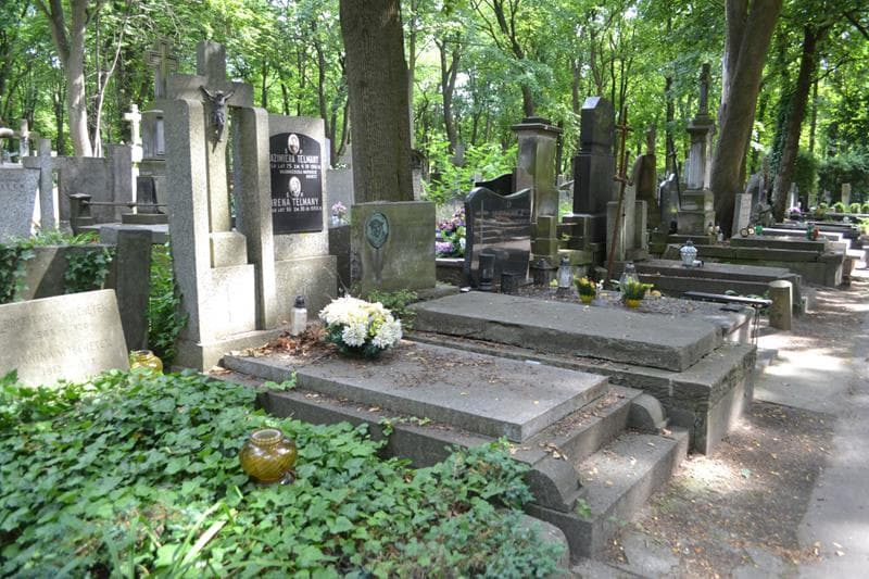 Zdjęcie grobu: Irena Telmany