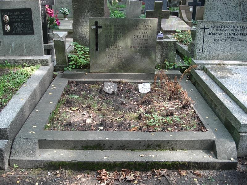 Zdjęcie grobu Adam Ciesielski (1)