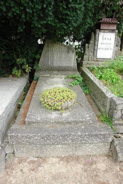 Zdjęcie grobu Aleksander Doliński (1)