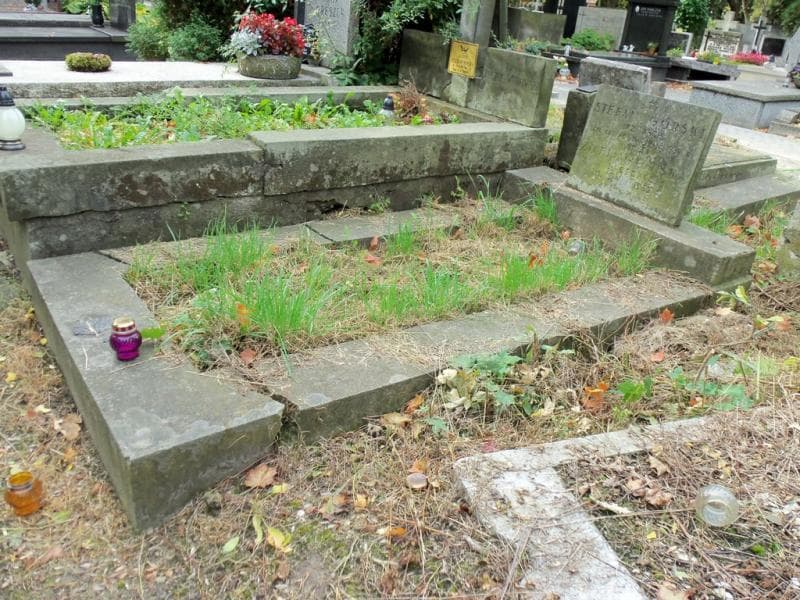 Zdjęcie grobu Zofia Górska (1)