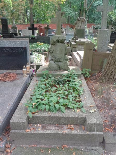 Zdjęcie grobu Zofia Ochalska (1)