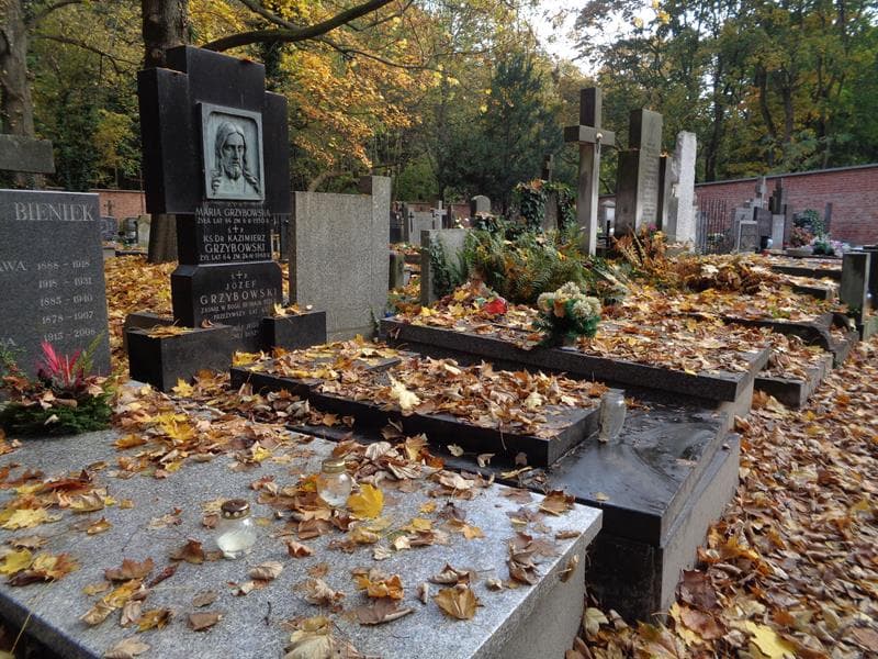 Zdjęcie grobu: Kazimierz Grzybowski