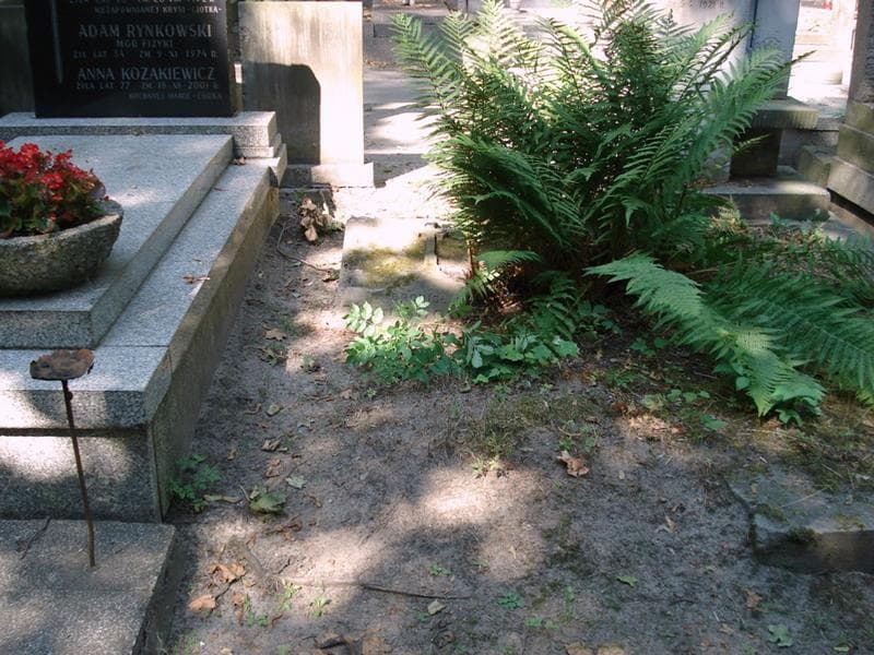 Zdjęcie grobu: Bronisław Drozdowicz
