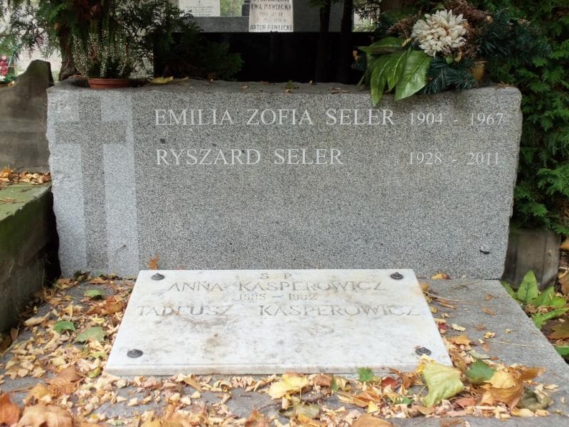 Zdjęcie grobu Emilia Zofia Seler (2)